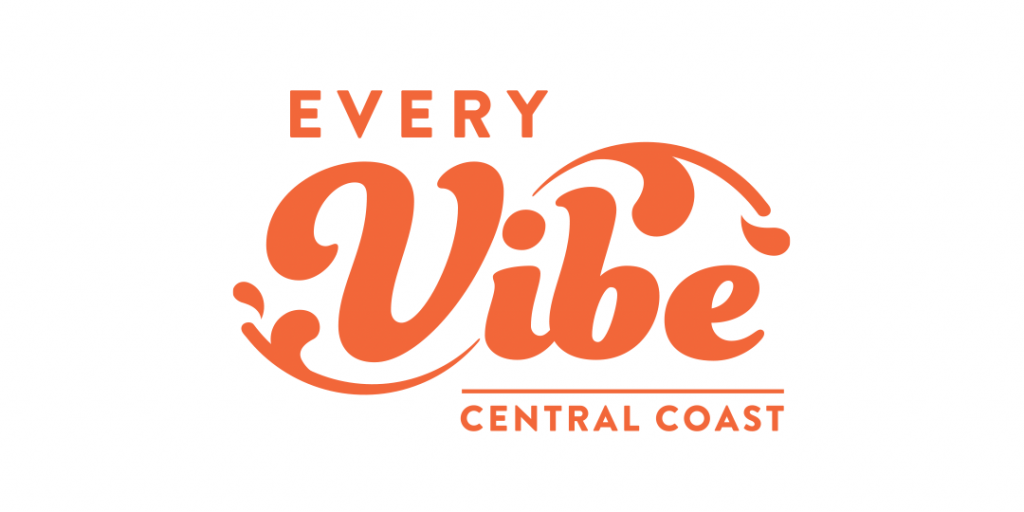 Branding and Design 6 every-vibe-logo